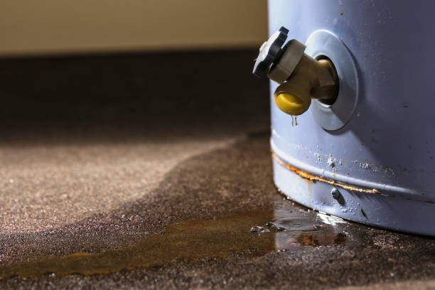 Best Sewage cleanup and water damage restoration  in Carlisle, PA