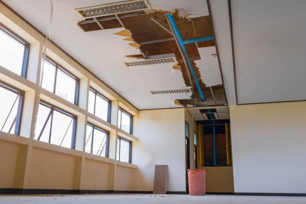 Best Sewage cleanup and water damage restoration  in Carlisle, PA