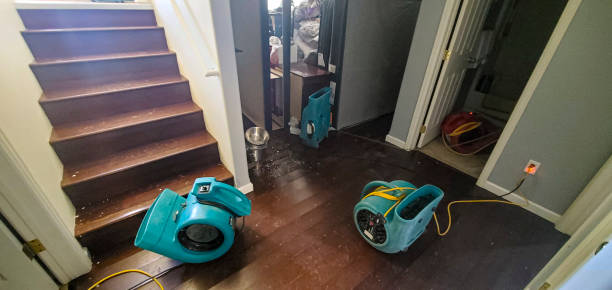 Best Water damage restoration near me  in Carlisle, PA