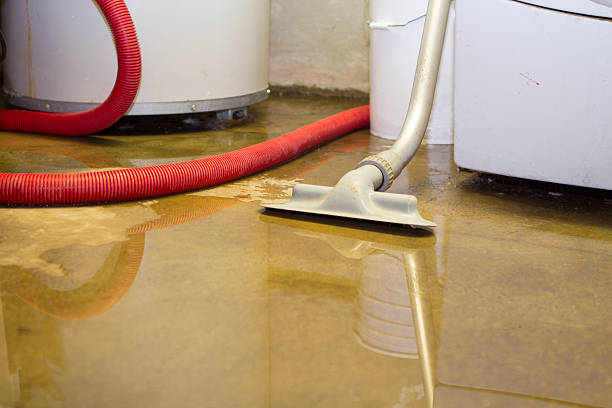 Best 24/7 water damage repair  in Carlisle, PA